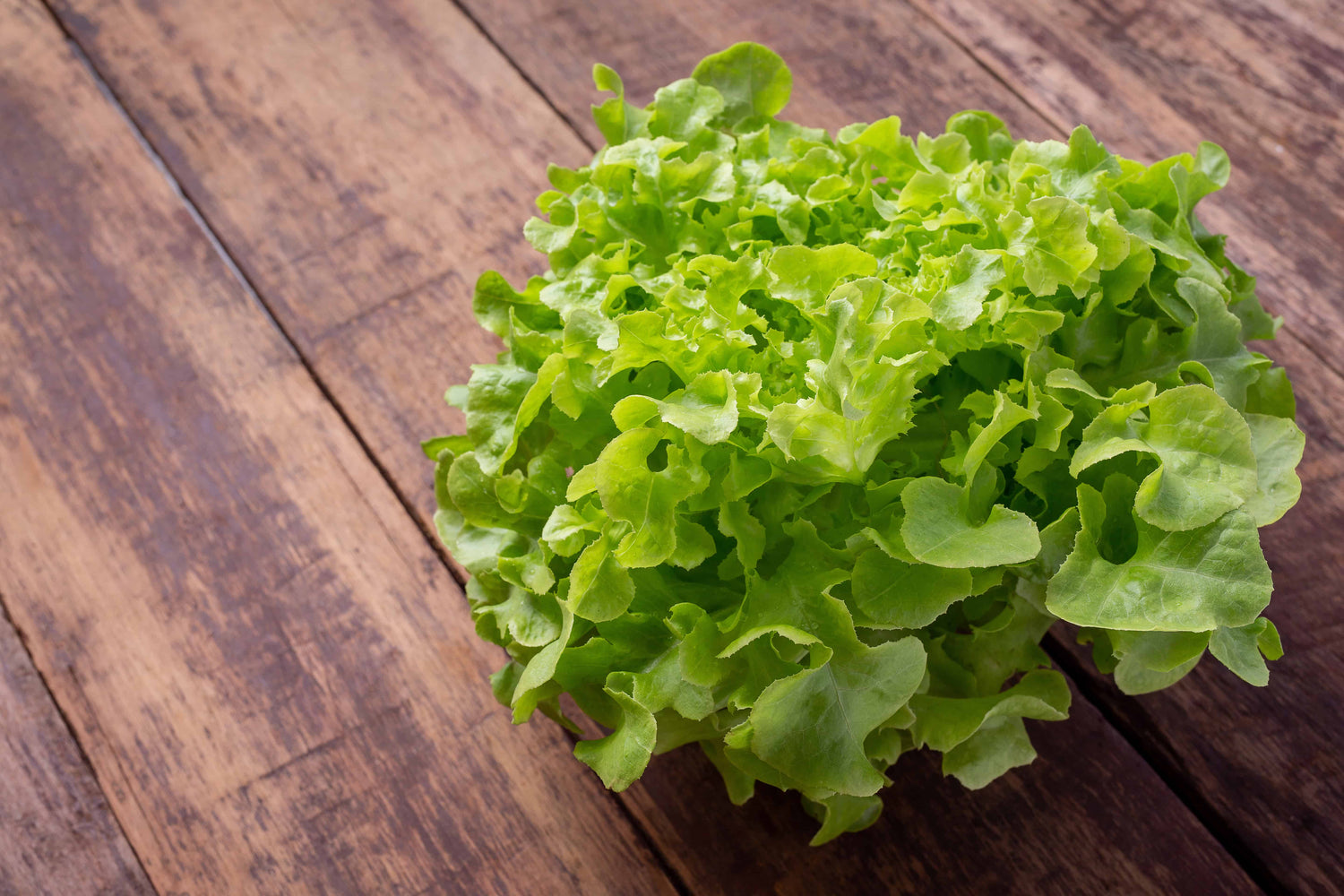 Salat