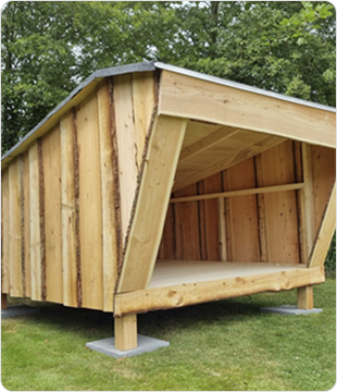 Shelter